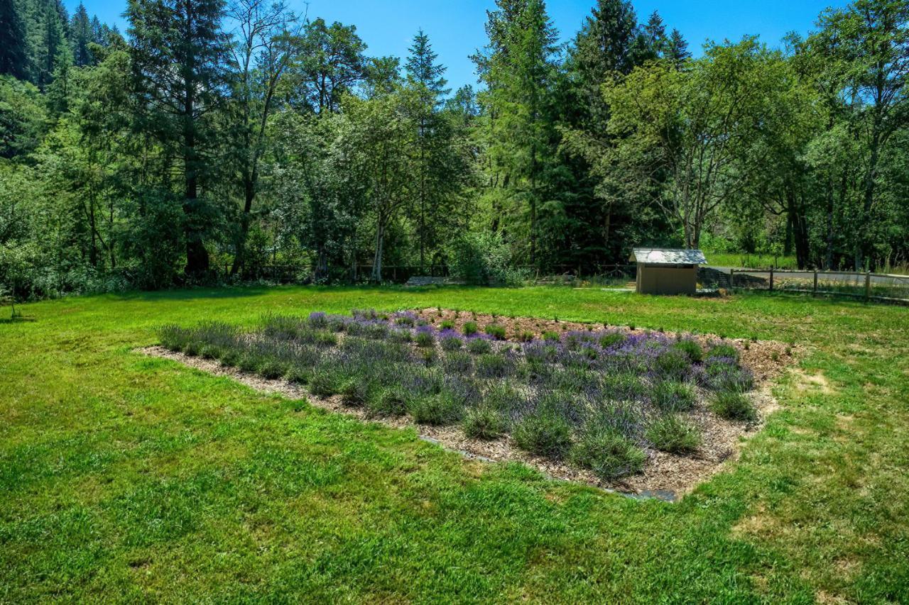 Angels Rest B&B Lavender Farm Skamania Екстериор снимка